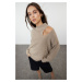 Trendyol Mink Oversized Window/Cut Out Knitwear Sweater