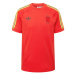 ADIDAS PERFORMANCE Funkčné tričko 'RBFA'  žltá / antracitová / červená / červená melírovaná