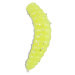 Saenger iron trout gumové nástrahy bee maggots 2,5 cm-farba cg