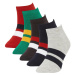 DEFACTO Boys' 5Pcs Cotton Booties Socks