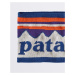 Patagonia Powder Town Headband FRSW