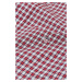 KOŠEĽA GANT REG POPLIN MICROCHECK SS SHIRT RUBY RED