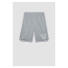 DeFactoFit Standard Fit Athlete Short Leg Shorts