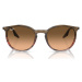 Ray-ban  Occhiali da Sole  RB2204 13953B  Slnečné okuliare Hnedá