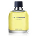 Dolce&Gabbana Pour Homme toaletná voda pre mužov
