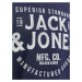 JACK & JONES Tričko 'JJJEANS'  námornícka modrá / biela