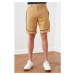 Trendyol Camel Men's Regular Fit Shorts &amp; Bermuda