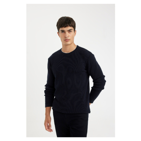 DEFACTO Relax Fit Comfortable Cut Crew Neck Collar Inside Combed Cotton Knitwear Sweater