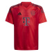 ADIDAS PERFORMANCE Funkčné tričko 'FC Bayern 24/25 Away'  červená / čierna