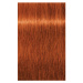 Schwarzkopf Professional IGORA Royal farba na vlasy odtieň 9,5-4 Pastel Beige