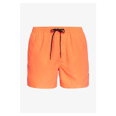 Pánske kúpacie šortky Quiksilver