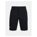Šortky Under Armour Project Rock Terry Shorts-BLK