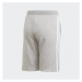 adidas Originals Fleece Shorts DV2891