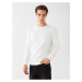 LC Waikiki Crew Neck Long Sleeve Men's Sweatshirt