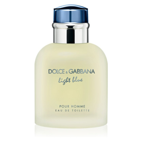 Dolce & Gabbana Light Blue Pour Homme toaletná voda pre mužov