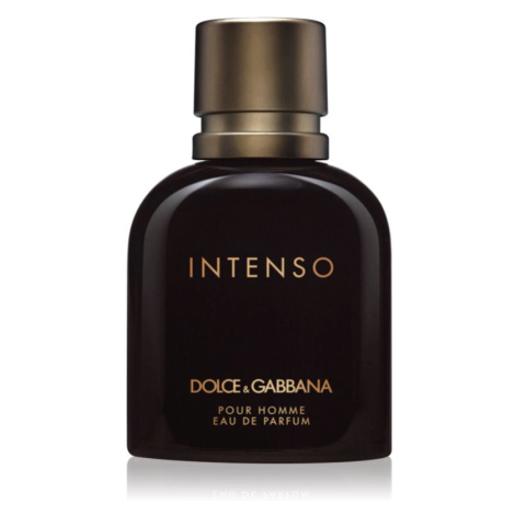 Dolce&Gabbana Pour Homme Intenso parfumovaná voda pre mužov Dolce & Gabbana