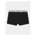 Calvin Klein Underwear Súprava 2 kusov boxeriek B70B700419 Farebná