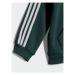 Adidas Tepláková súprava Full-Zip Hoodie Set HL2208 Zelená Regular Fit