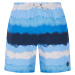 Men's beach shorts Protest PRTHAMSEY