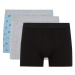 DEFACTO Regular Fit 3-Piece Boxer