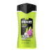 AXE  Epic Fresh sprchovy gél 250ml