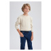 DEFACTO Boy's Crew Neck Knitwear Sweater