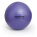 Fitlopta SISSEL® Securemax Ball - Ø 65 cm Farba: fialová