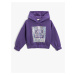 Koton Shiny Printed Hooded Sweatshirt