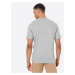 UNITED COLORS OF BENETTON T-Shirt  sivá melírovaná / biela / červená