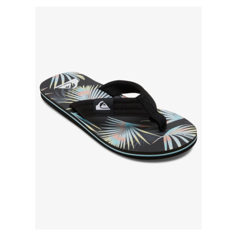 Pánske žabky Quiksilver