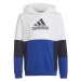 Adidas Colourblock Hoodie Jr HG6826