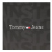Tommy Jeans Kabelka Tjw Must Camera Bag AW0AW14550 Čierna