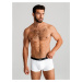 Ombre Men's underpants