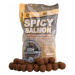 Starbaits boilie spicy salmon-2,5 kg 14 mm
