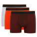 DEFACTO Regular Fit 3-Piece Boxer