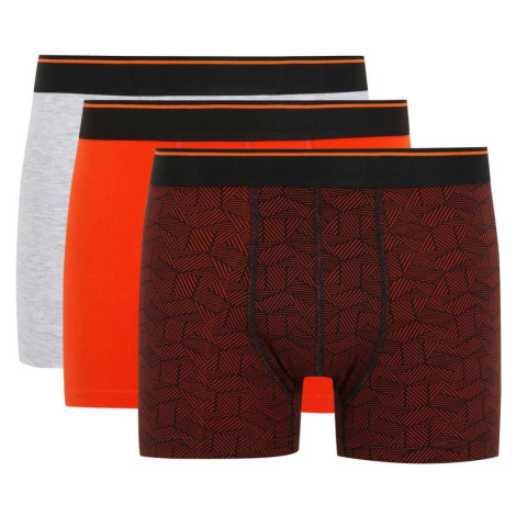 DEFACTO Regular Fit 3-Piece Boxer