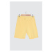 Trendyol Yellow Men's Shorts & Bermuda