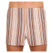 Classic men's shorts Foltýn brown with stripes oversize