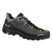 Pánska nízka turistická obuv SALEWA Alp Trainer 2 GTX Shoe M onyx black