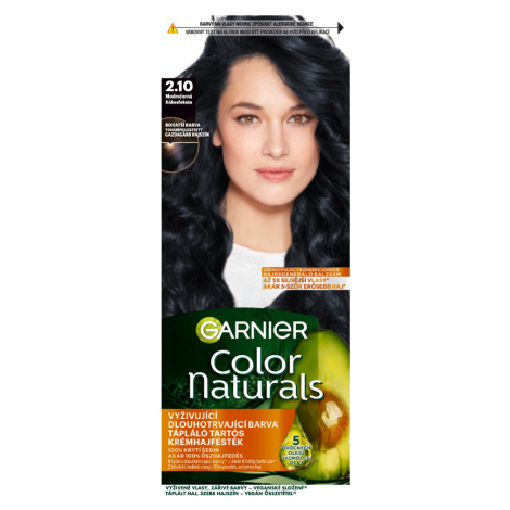 Garnier Color Naturals permanentná farba na vlasy 2.10 Modročierna