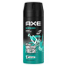 AXE Deodorant Ice Breaker 150 ml