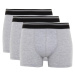 DEFACTO Regular Fit 3-Piece Boxer