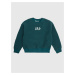 GAP Kids' Sweatshirt - Boys