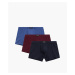 Men's boxers ATLANTIC 3Pack - multicolored