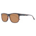 Hackett Sunglasses