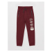 LC Waikiki Printed Boys' Jogger Sweatpants with Elastic Waist