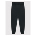 Polo Ralph Lauren Teplákové nohavice Popant M2 322859612001 Čierna Regular Fit