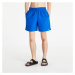 Nike Essential 7 Volley Short Game Royal
