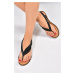 Fox Shoes Black Women's Sandals