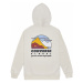 Converse Free World Pullover Hoodie Egret